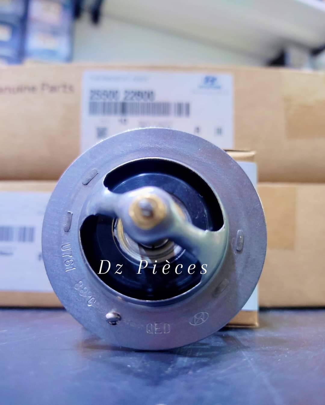 Thermostat accent GLS