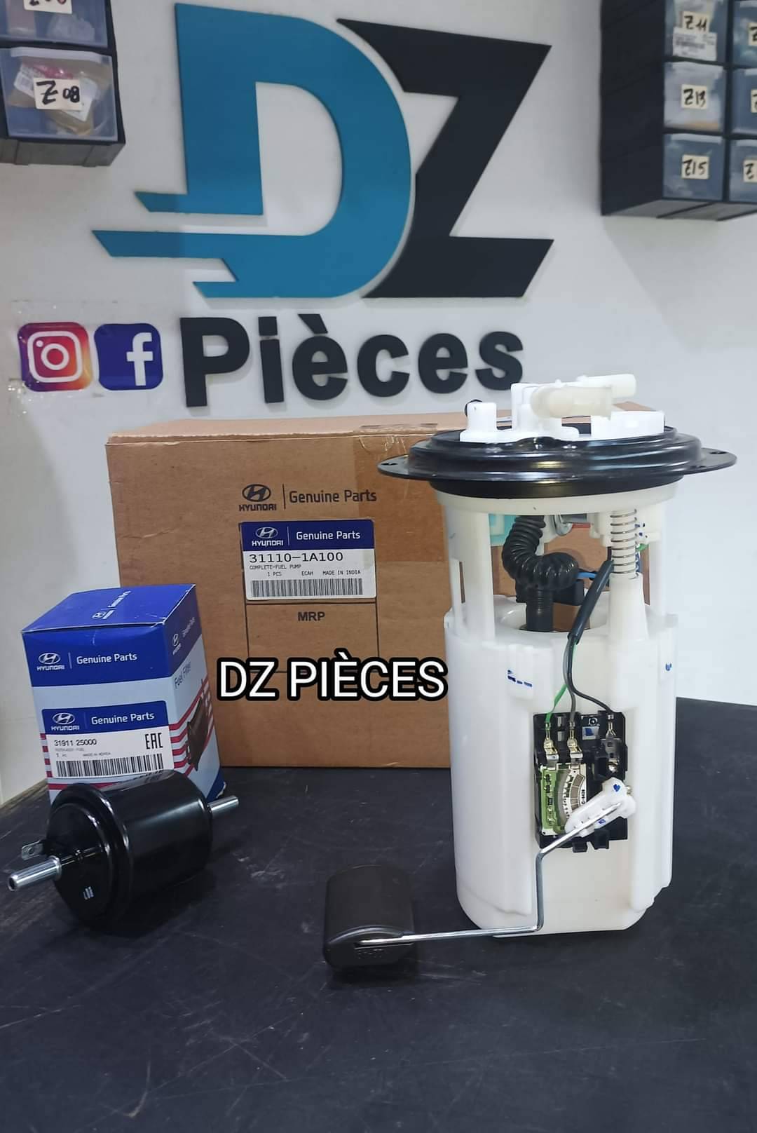 Pompe gavage (essence) accent GLS complete