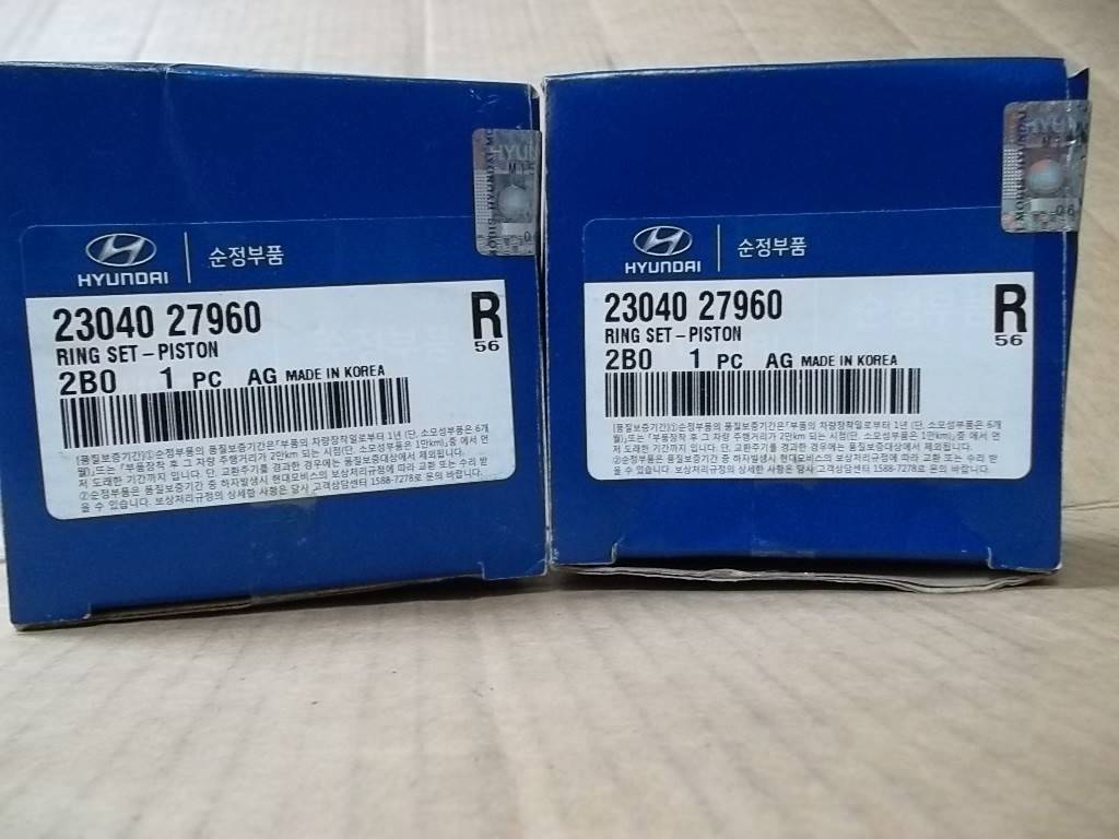 segment santfe 2.2L 2008/2010